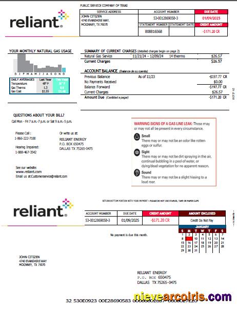 USA Reliant Energy utility bill